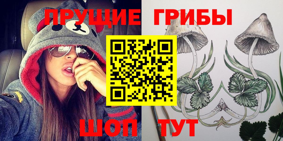 Галлюциногенные грибы прущие грибы  Вход с VPN  Шарыпово 